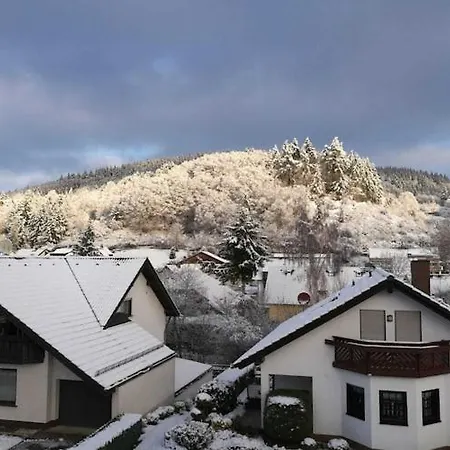 Spacious Flat In Near The Nuerburgring, Cleaning Included Adenau